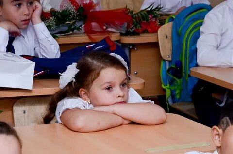 Правила приема, перевода, отчисления.